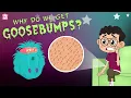 Download Lagu Why Do We Get Goosebumps? | The Dr. Binocs Show | Best Learning Videos For Kids | Peekaboo Kidz
