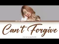 Cha Soo Kyung (차수경) - Can't Forgive (용서 못해) Temptation of Wife OST (아내 의 유혹) [Han|Rom|Eng] Lyrics 가사
