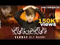 Lagu Fatima Zehra Teri | Ayyam E Fatmiyah Noha 2025-2026 | Hammad Nagri | Bibi Fatima Noha 2025