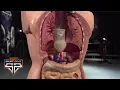 The Science Behind Competitive Eating Sport Science ESPN Archives
