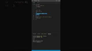 infinite while loop in c language