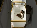 Download Lagu Cradlewise Smart Crib Tour