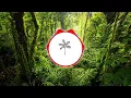 Sam Feldt & Hook N Sling- Open Your Eyes