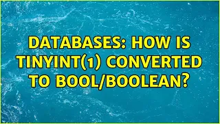 Databases How is TINYINT 1 converted to
