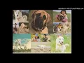 サンセット･メモリー　杉村尚美