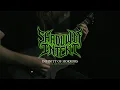 Chris Wiseman // SHADOW OF INTENT - Infinity of Horrors (Official Guitar Playthrough)