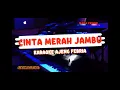 Download Lagu KARAOKE CINTA MERAH JAMBU NADA CEWEK / WANITA