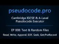 EP008 Text Random Files - READFILE WRITEFILE APPEND EOF SEEK GETRECORD PUTRECORD