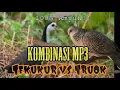 Download Lagu SUARA TEKUKUR vs RUAK RUAK PIKAT MP3