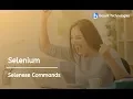 Selenium - Selenese Commands Besant Technologies
