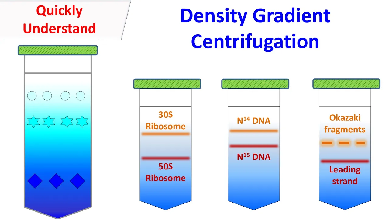Density Gradient Centrifugation | Principle and Applications