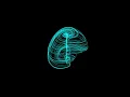 Aizawa attractor