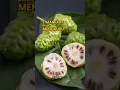 Download Lagu 7 Manfaat Daun Mengkudu Untuk Lansia, Yang Jarang Orang Tahu