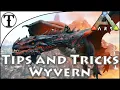 Fast Wyvern Taming Guide Ark Survival Evolved Tips and Ticks