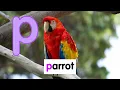 Starfall - Alphabet