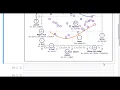 1 Matplotlib Introduction Matplotlib Crash Course for Data Analysis