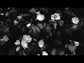 Jaz Karis-Complicated