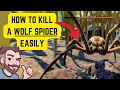 How To Kill A Wolf Spider Easily in Grounded