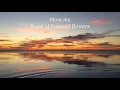 MOMOKA flood of tousends flowers Marlen Martha Maria Luis Paniagua 2020-2021