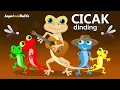 Download Lagu CICAK CICAK dinding dan tek kotek anak ayam - Lagu anak balita populer
