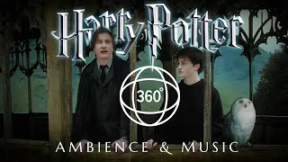 Hogwarts 360º ◈ Wooden Bridge ◈ Immersive Harry Potter VR / Look Around the Scene ◈ Music & Ambience