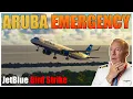 JetBlue 158 Takes a BIRD STRIKE After Takeoff From Aruba