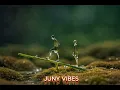 🎵 Hakuna Matata (Lyrics) — Nathan Lane, Ernie Sabella, Jason Weaver & Joseph Williams