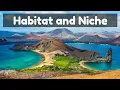Introduction Habitat and Niche