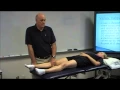 Knee Pivot Shift tests