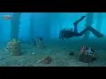 The Atlantic (2026) The Forbidden Ocean That Holds Earth’s True History