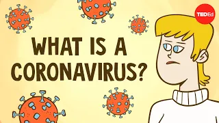 what is a coronavirus elizabeth cox