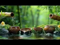 Download Lagu Relaxing Piano Music: Sleep Music, Water Sounds, Relaxing Music, Spa Music