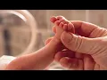 Trump goes after birthright citizenship again The News4 Rundown NBC4 Washington