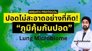 ปอดของมนุษย์สะอาดหรือสกปรก และทำไมจึงไม่ใช่เรื่องของความสะอาดเพียงอย่างเดียว