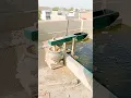 water Powered Pounder Corn Mill Live