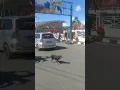 Download Lagu Papua nih bung ko tabrak anjing ko bayar denda#shorts