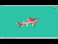 VTK Example - AlignTwoPolyDatas vtkIterativeClosestPointTransform