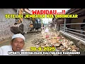 Download Lagu BIKIN MERINDING..!! SAMPAH SATU PERSATU BERDATANGAN ‼️ Update NORMALISASI KALI WADAS KARAWANG