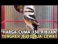 Lagu GAK USAH BELI TENGKEK BUTO MAHAL || INI AJA CUKUP 150 RIBUAN DI PASAR BURUNG PRAMUKA 