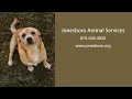 Jonesboro in 60 Animal Services