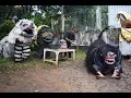 Lagu Aksi Barong Macan Jaranan Jelun Banyuwangi 2018-Lereng Ijen Seni budaya