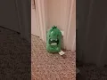 Download Lagu pickle sings ieven pokka