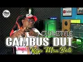 Lagu Clumztyle - Gambus Dut Raja Mau Boli (Pop Alor NTT)