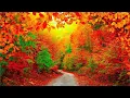 Download Lagu Autumn Scenery, Peaceful Music, Relaxing soothing Music, \