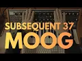 Lagu Moog Subsequent 37 - Είναι το καλύτερο Synthesizer και στην καλύτερη τιμή; Εγώ λέω ΝΑΙ!