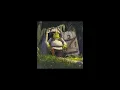 Smash Mouth - All Star ( slowed + reverb )