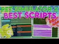 pet simulator x script pet sim x script free download 2023 pet simulator x script pastebin