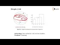 Hierarchical Methods Agglomerative Divisive BIRCH-Clustering-Data Mining and Business Intelligence