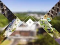 Welcome to Vue at the Quarter