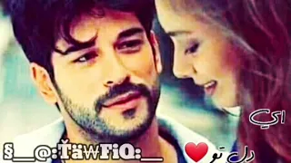 شرافت پروانی ای دل تو خریداری نداری 